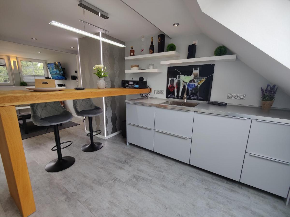 Ferienhaus Villa Adelsberg Mit Dachterrasse In Zentraler Lage Fuer Bis Zu 10 Personen Chemnitz Exterior photo